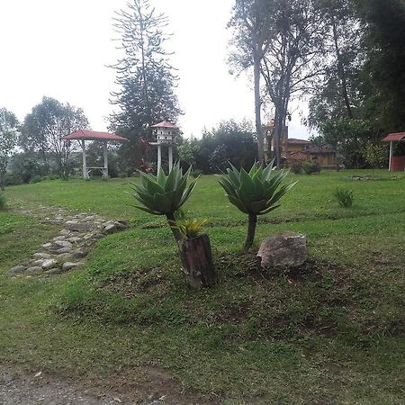 La Gaviota BnB Bed and Breakfast Filandia Esterno foto